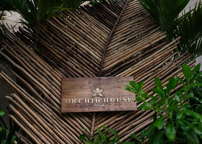 Hotel Orchid House Tulum Jungle